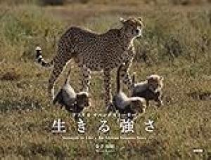 野生動物板の強さランク  S　アフリカゾウ A　トラ　インドゾウ・・・